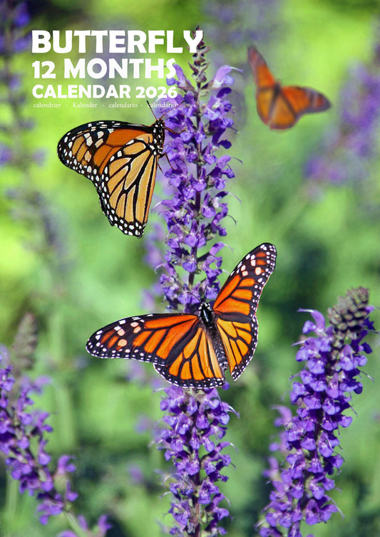 Butterfly Calendar 2026 – M-PRA Range