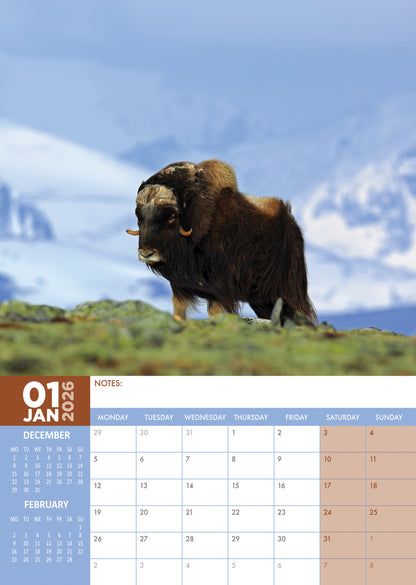 Arctic Animals Calendar 2026 – A Stunning Wildlife Wall Calendar Celebrating the Beauty of the Frozen North