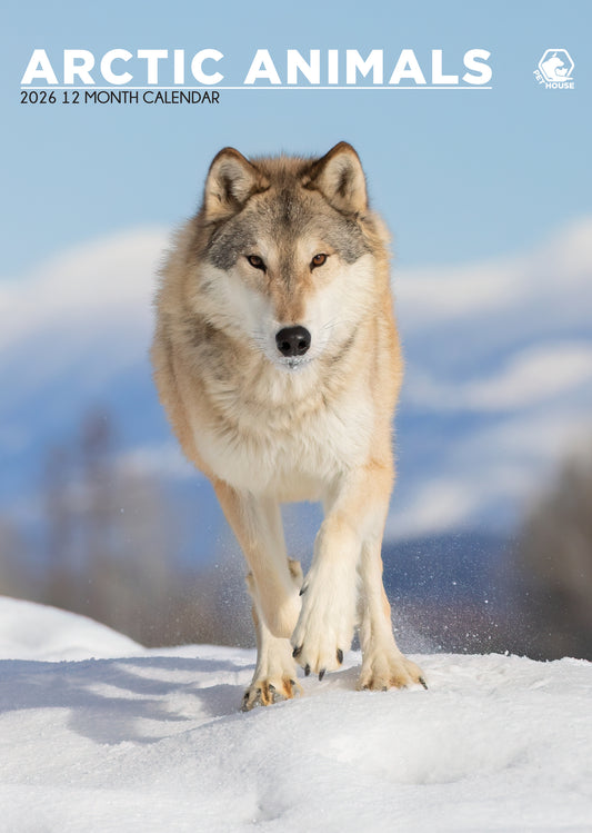 Arctic Animals Calendar 2026 – A Stunning Wildlife Wall Calendar Celebrating the Beauty of the Frozen North