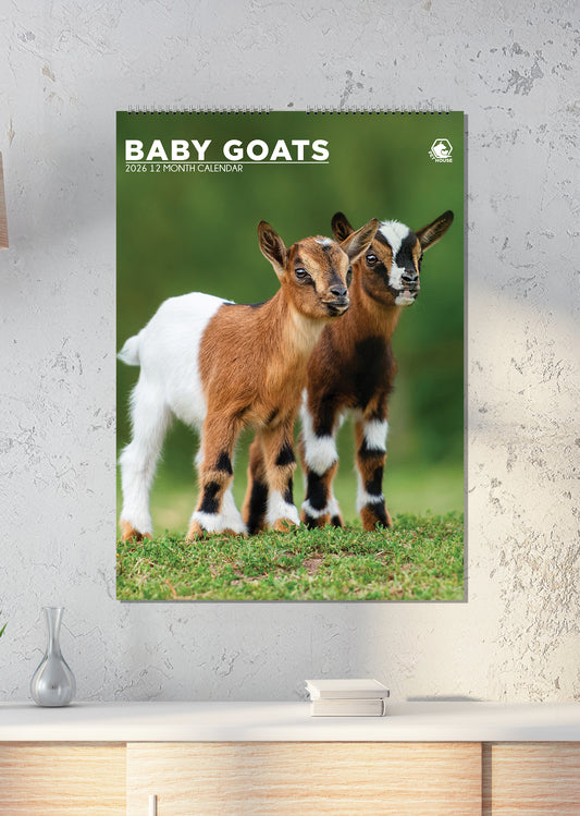 Baby Goats Calendar 2026 – A Year of Sweetness and Smiles