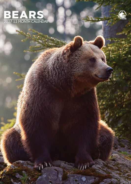 Bears Calendar 2027 – Celebrate the Majesty of the Wild