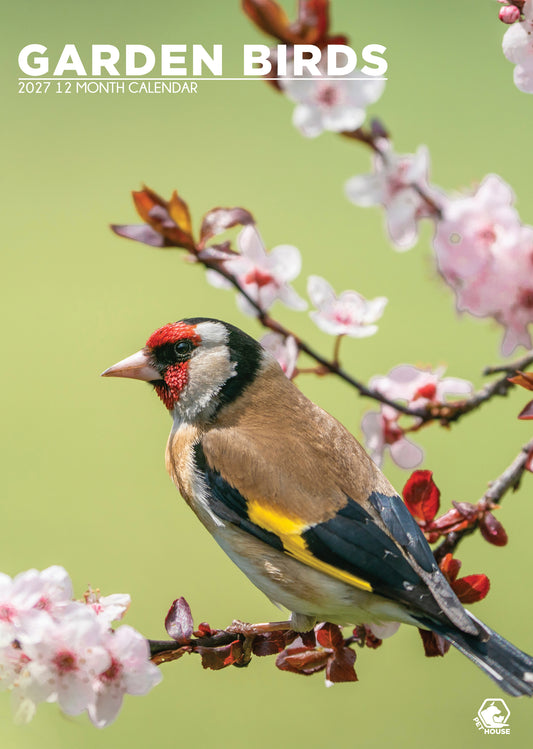 Garden Birds Calendar 2027 – A Year of Feathered Friends in Your Home
