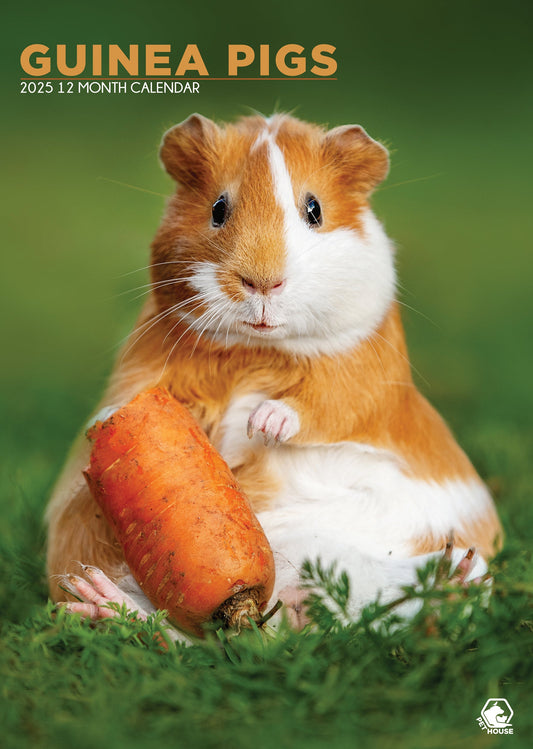 Guinea Pigs Calendar 2025