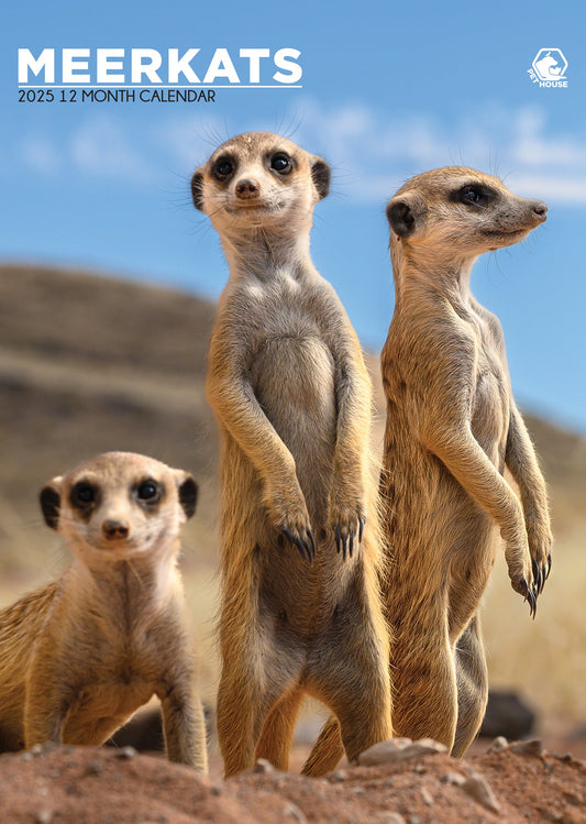 Meerkats Calendar 2025