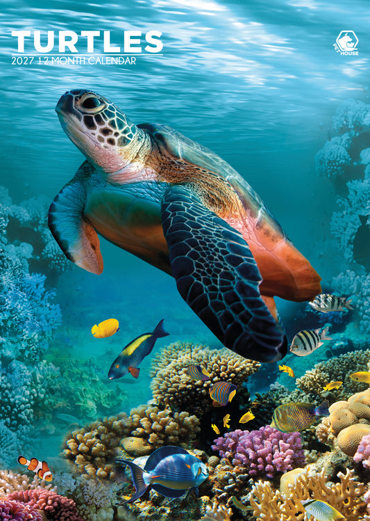 Turtles Calendar 2027 – A Serene Journey Through Nature