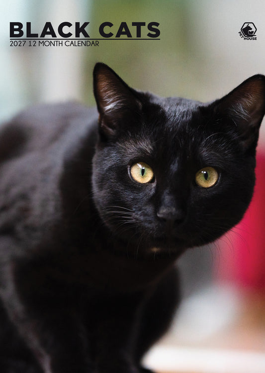 Black Cats Calendar 2027 – A Year of Mystical Beauty