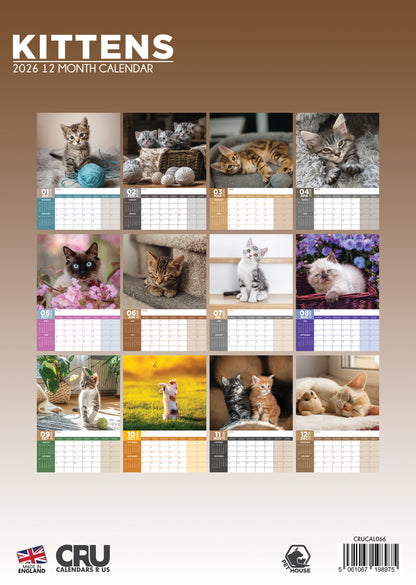 Kittens Calendar 2026 – A Year of Cuteness Overload