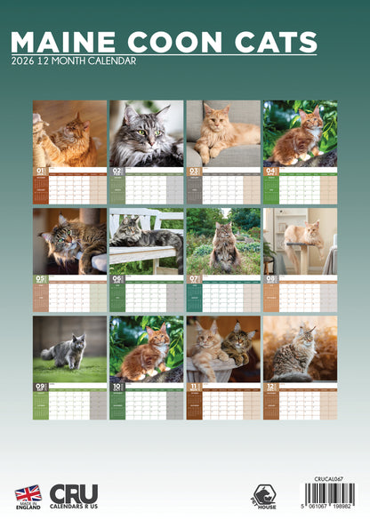Maine Coon Cats Calendar 2026 – A Year of Majestic Beauty