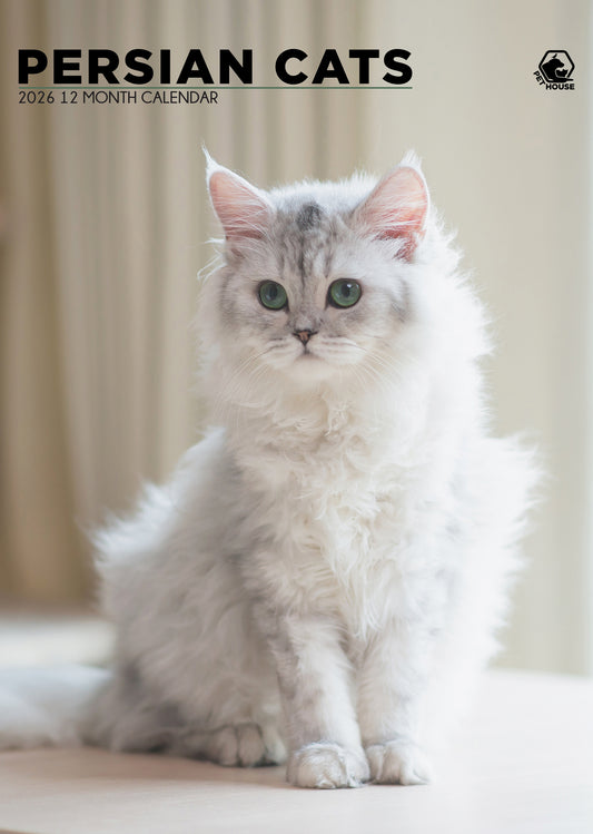 Persian Cats Calendar 2026 – A Year of Elegance and Charm