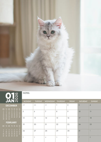 Persian Cats Calendar 2026 – A Year of Elegance and Charm