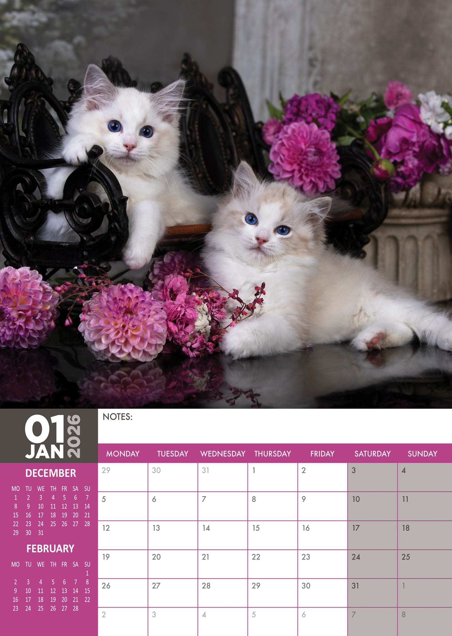 Ragdoll Cats Calendar 2026 – A Year of Relaxed Beauty