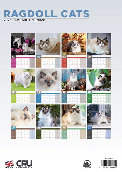 Ragdoll Cats Calendar 2026 – A Year of Relaxed Beauty