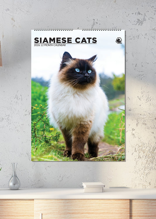 Siamese Cats Calendar 2026 – Elegant Beauty & Playful Spirit