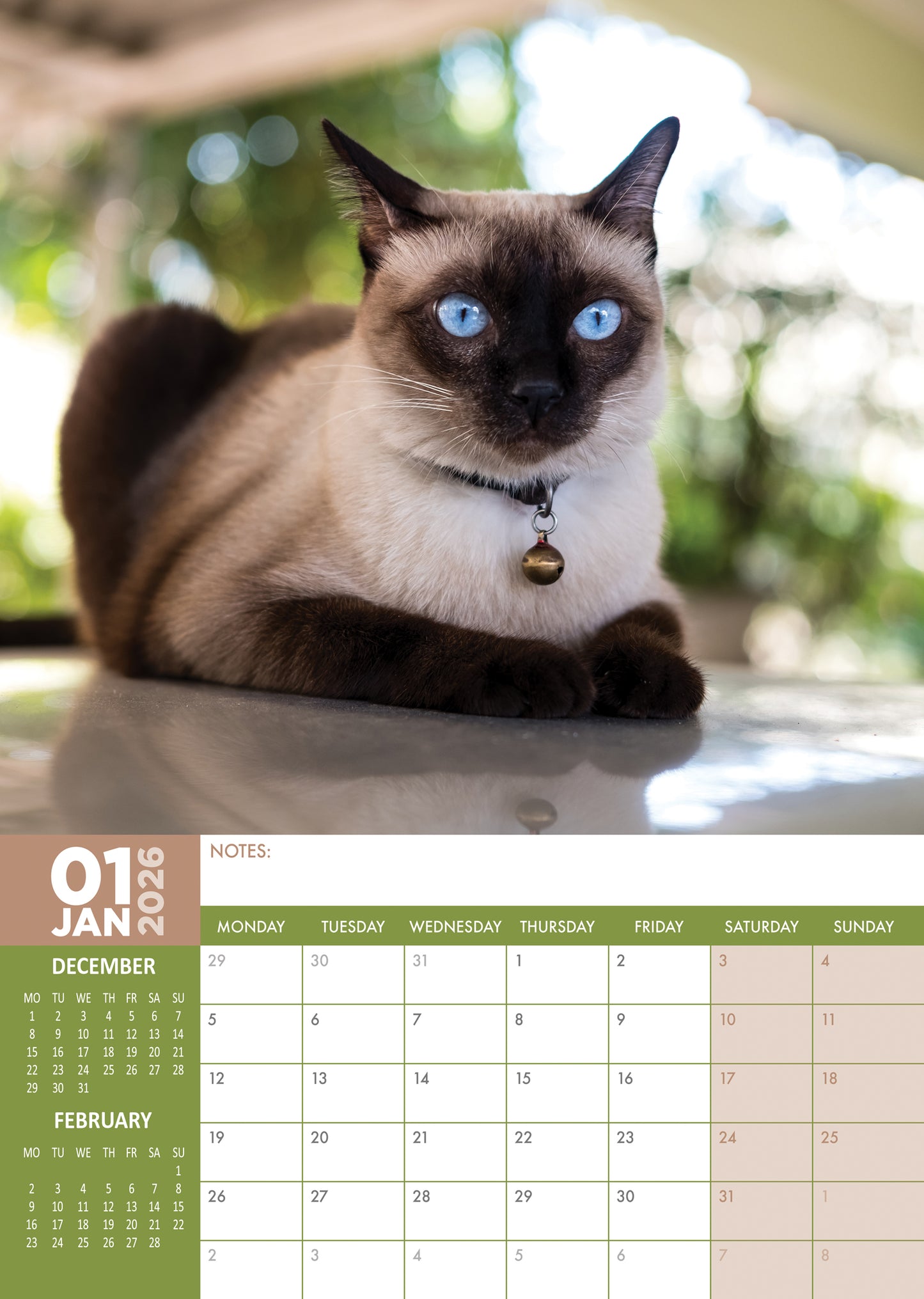 Siamese Cats Calendar 2026 – Elegant Beauty & Playful Spirit