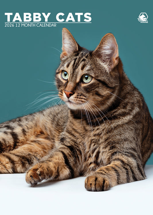 Tabby Cats Calendar 2026 – Adorable and Playful Companions