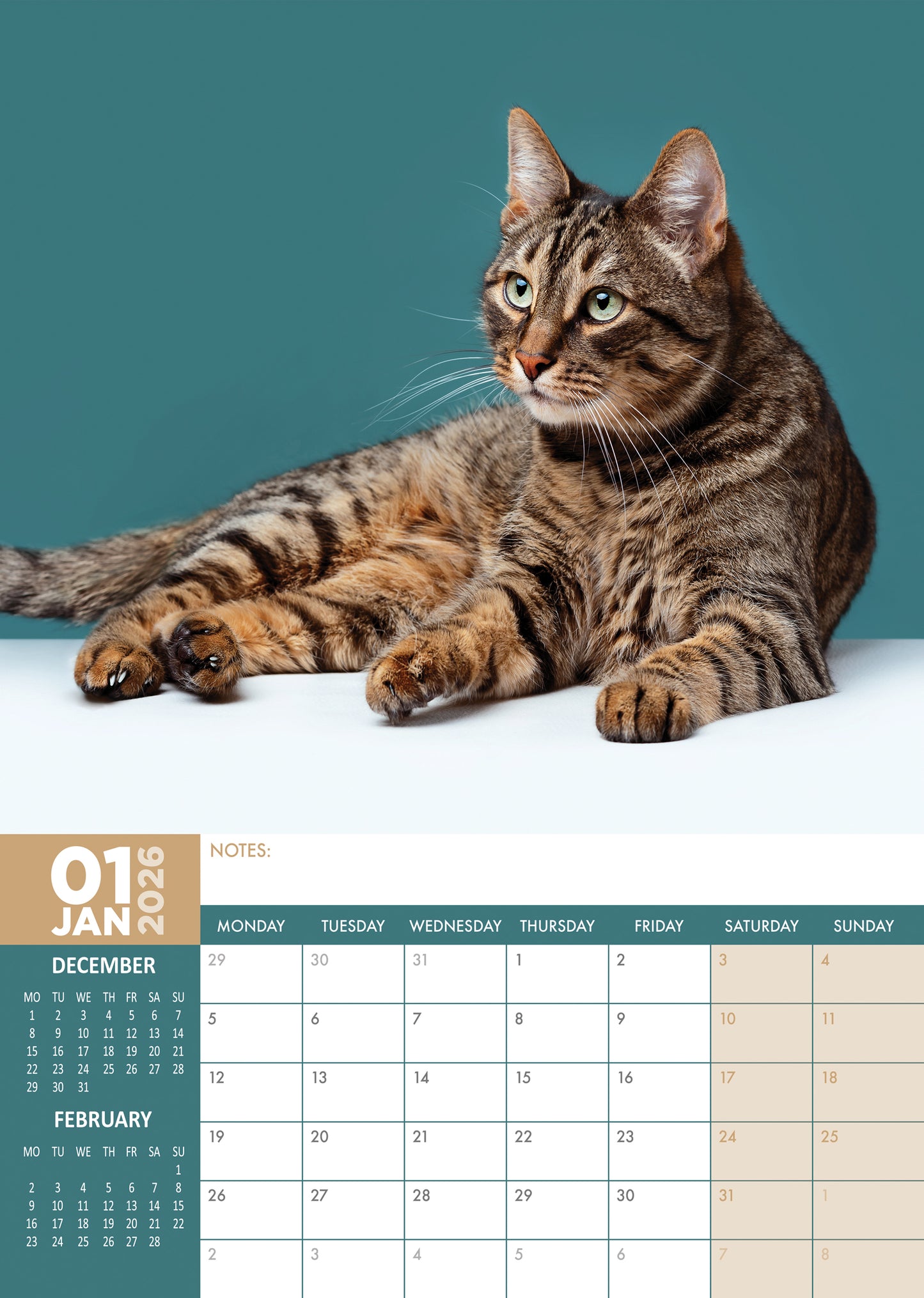 Tabby Cats Calendar 2026 – Adorable and Playful Companions