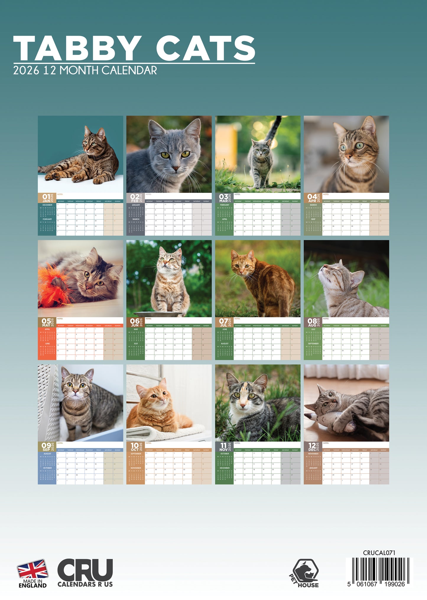 Tabby Cats Calendar 2026 – Adorable and Playful Companions