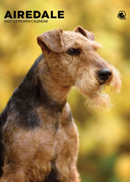 Airedale Terrier Calendar 2027 – The King of Terriers All Year Long