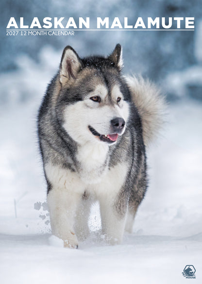 Alaskan Malamute Calendar 2027 – A3 Wall Calendar for Arctic Dog Lovers
