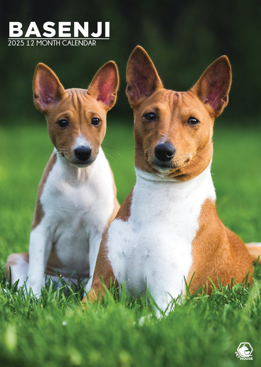 Basenji Calendar 2025