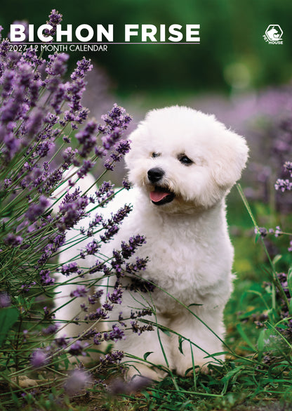 Bichon Frise Calendar 2027 – A Year of Fluffy Fun and Adorable Moments