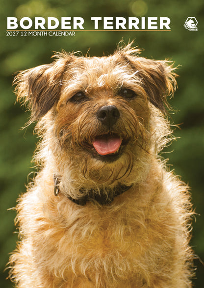 Border Terrier Calendar 2027 – A Year of Charm, Loyalty & Adventure