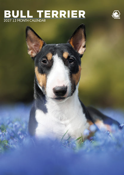 Bull Terrier Calendar 2027 – Celebrate a Year of Character, Strength, and Charm