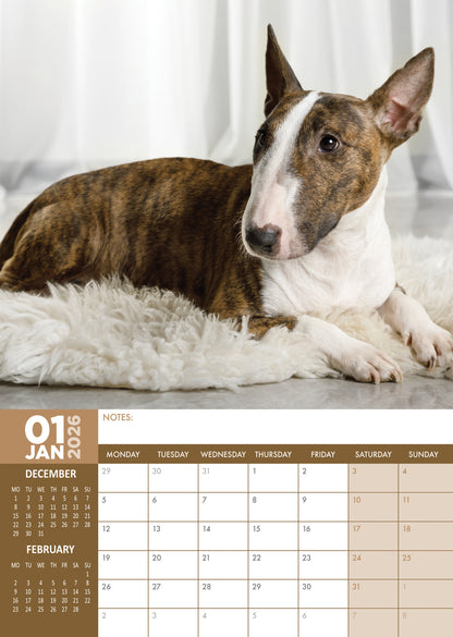 Bull Terrier Calendar 2026 – Celebrate a Year of Character, Strength, and Charm