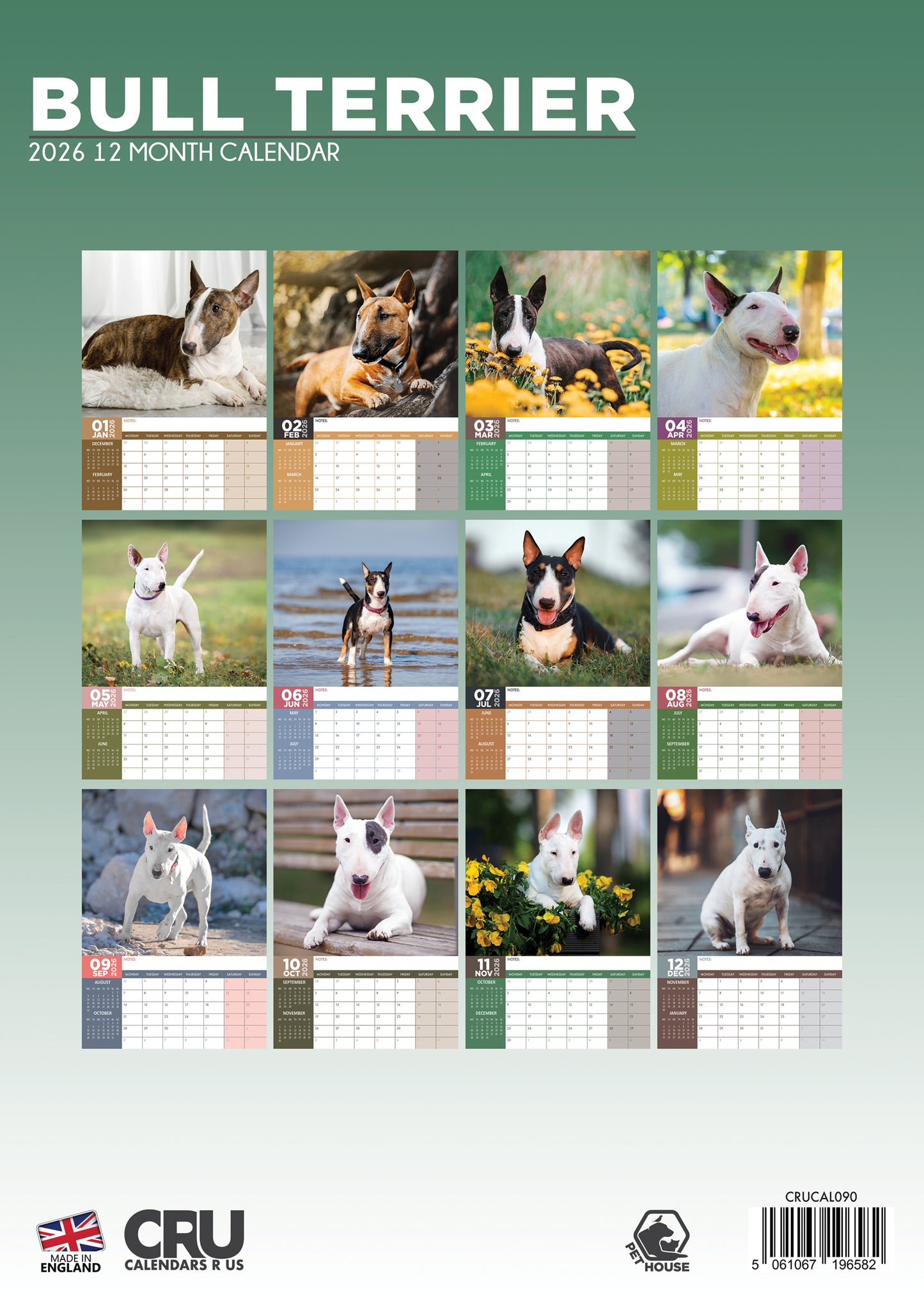 Bull Terrier Calendar 2026 – Celebrate a Year of Character, Strength, and Charm