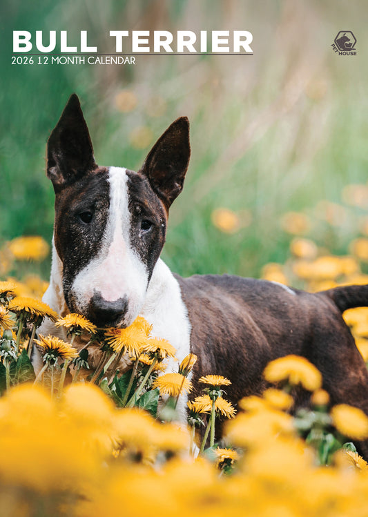 Bull Terrier Calendar 2026 – Celebrate a Year of Character, Strength, and Charm