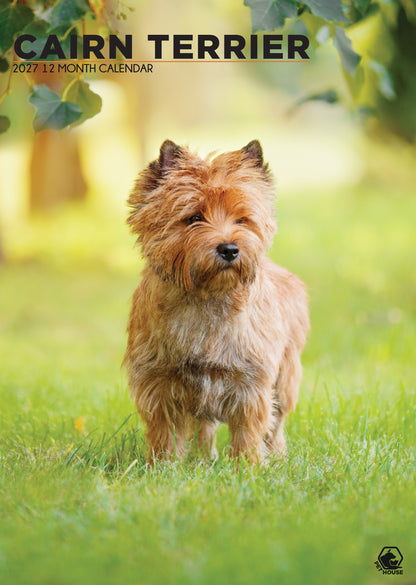 Cairn Terrier Calendar 2027 – A Year of Terrier Spirit and Charm
