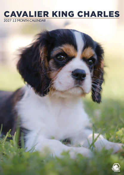 Cavalier King Charles Calendar 2027 – A Year with the Elegant Companion Dog