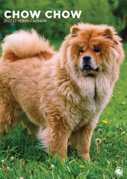 Chow Chow Calendar 2027 – A Year of Majestic Beauty and Fluffy Charm