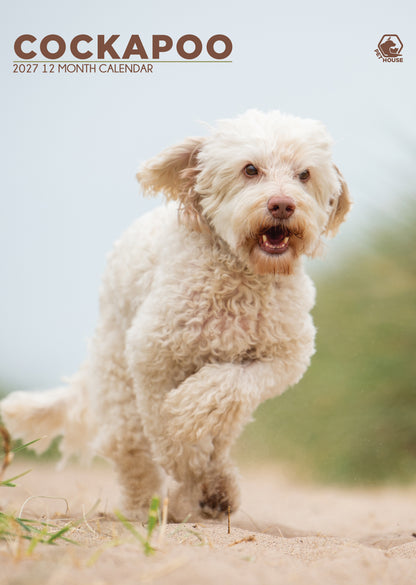 Cockapoo Calendar 2027 – A Year of Joyful Energy and Curly-Eared Cuteness