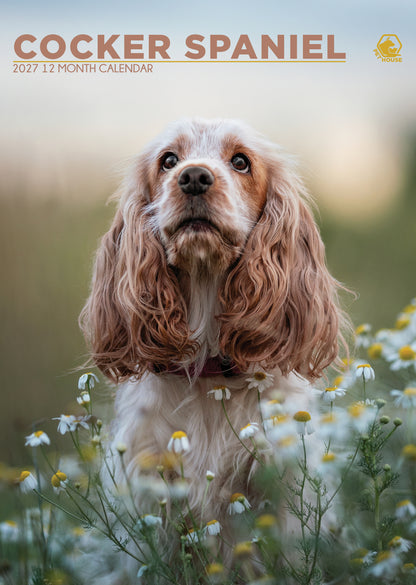 Cocker Spaniel Calendar Square 2027 – A Year of Floppy Ears & Wagging Tails