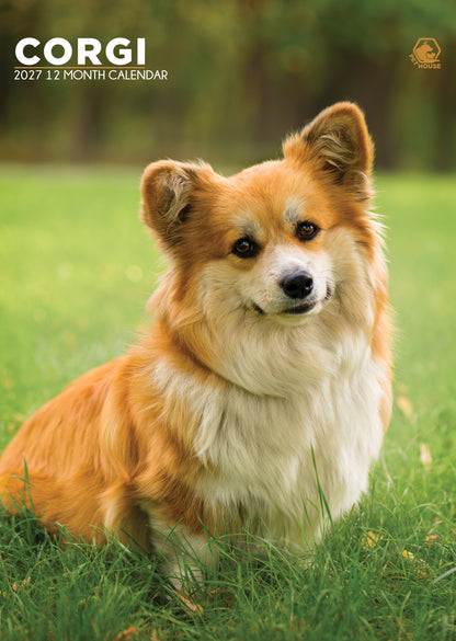 Corgi Calendar 2027 – A Year of Stumpy Legs and Big Smiles
