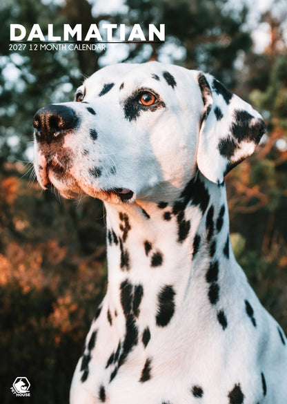 Dalmatian Calendar 2027 – A Spot-On Gift for Dog Lovers
