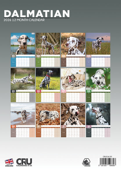 Dalmatian Calendar 2026 – A Spot-On Gift for Dog Lovers
