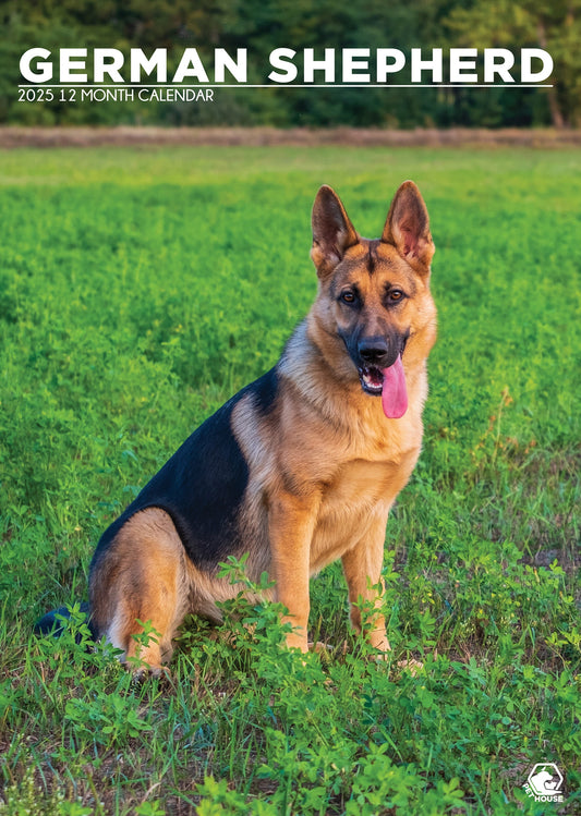 German Shepherd Calendar 2025