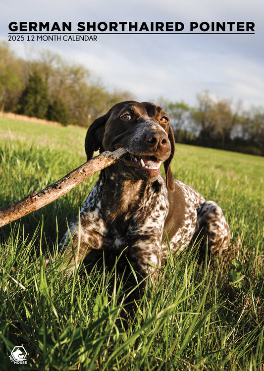 German Short Haired Pointer Calendar 2025