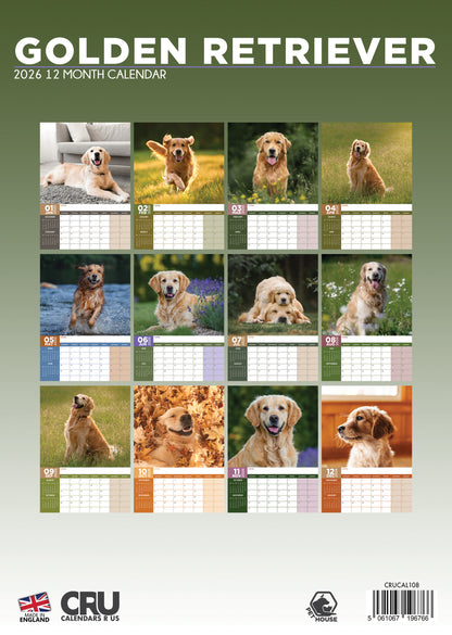 Golden Retriever Calendar 2026 – A Year of Loyalty, Love, and Golden Charm