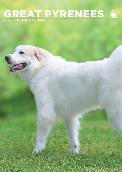Great Pyrenees Calendar 2026 – A Year with the Gentle Giants of the Dog World