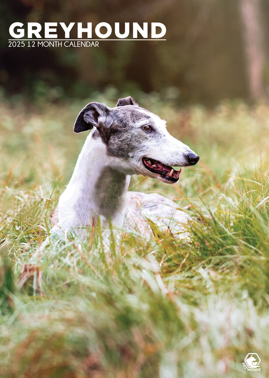 Greyhound Calendar 2025