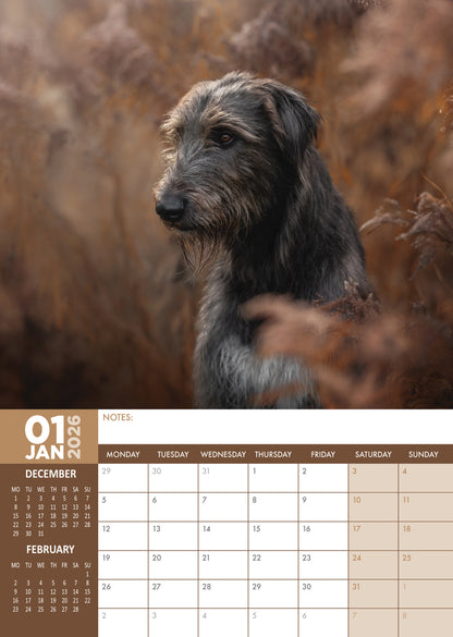 Irish Wolfhound Calendar 2026 – A Majestic Tribute to Gentle Giants