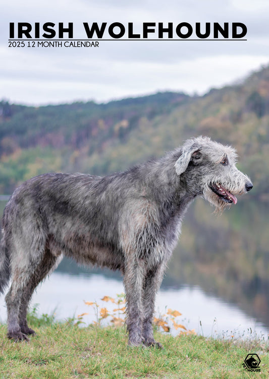 Irish Wolfhound Calendar 2025