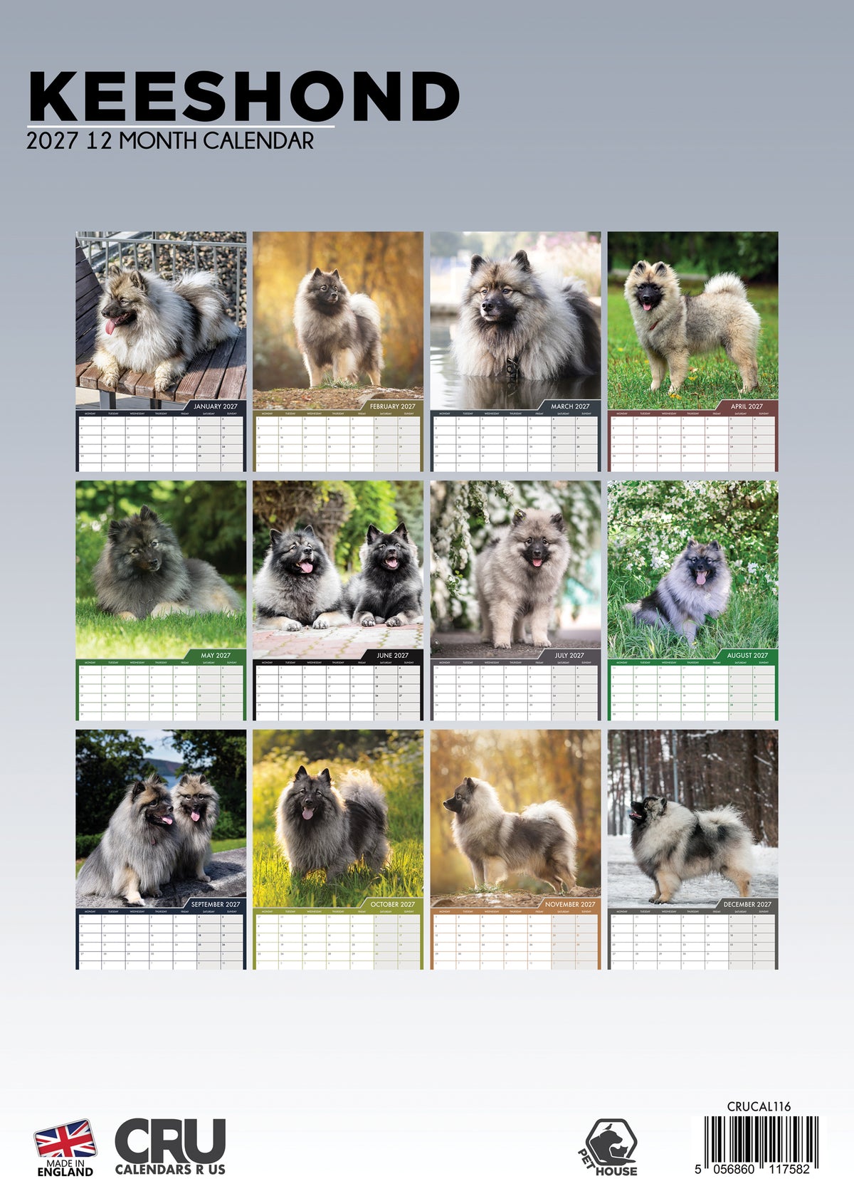 Keeshond Calendar 2027 - A3 Wall Calendar for Keeshond Dog Lovers