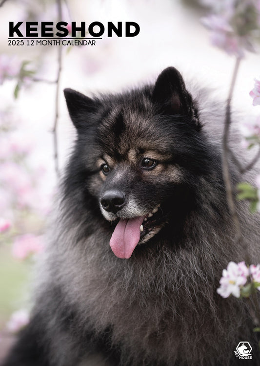 Keeshond Calendar 2025