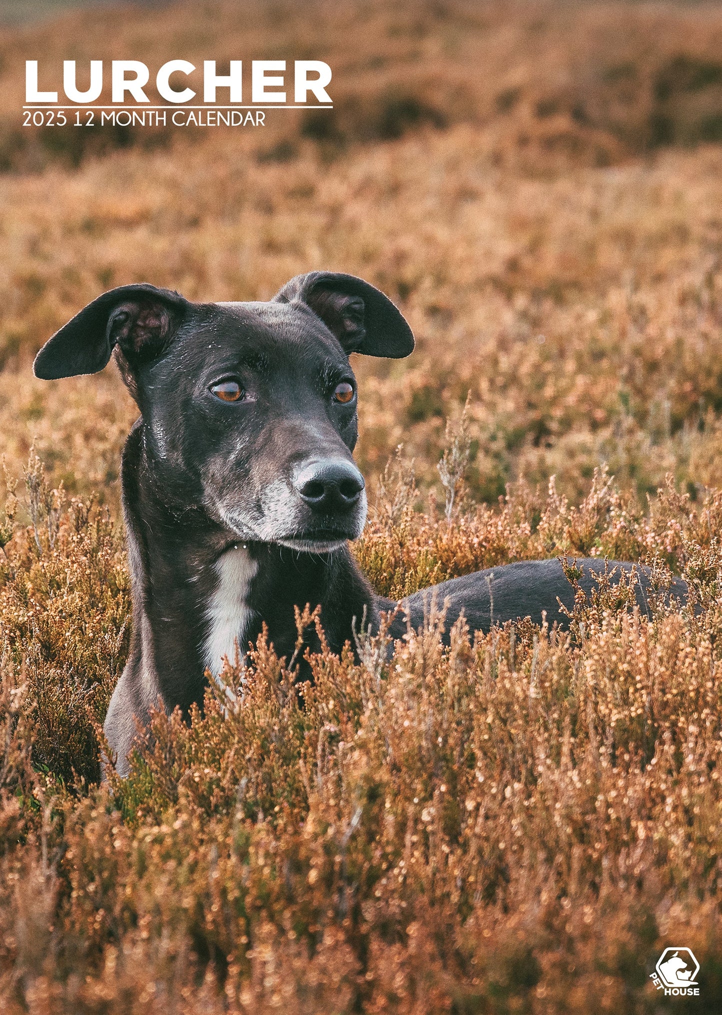 Lurcher Calendar 2025