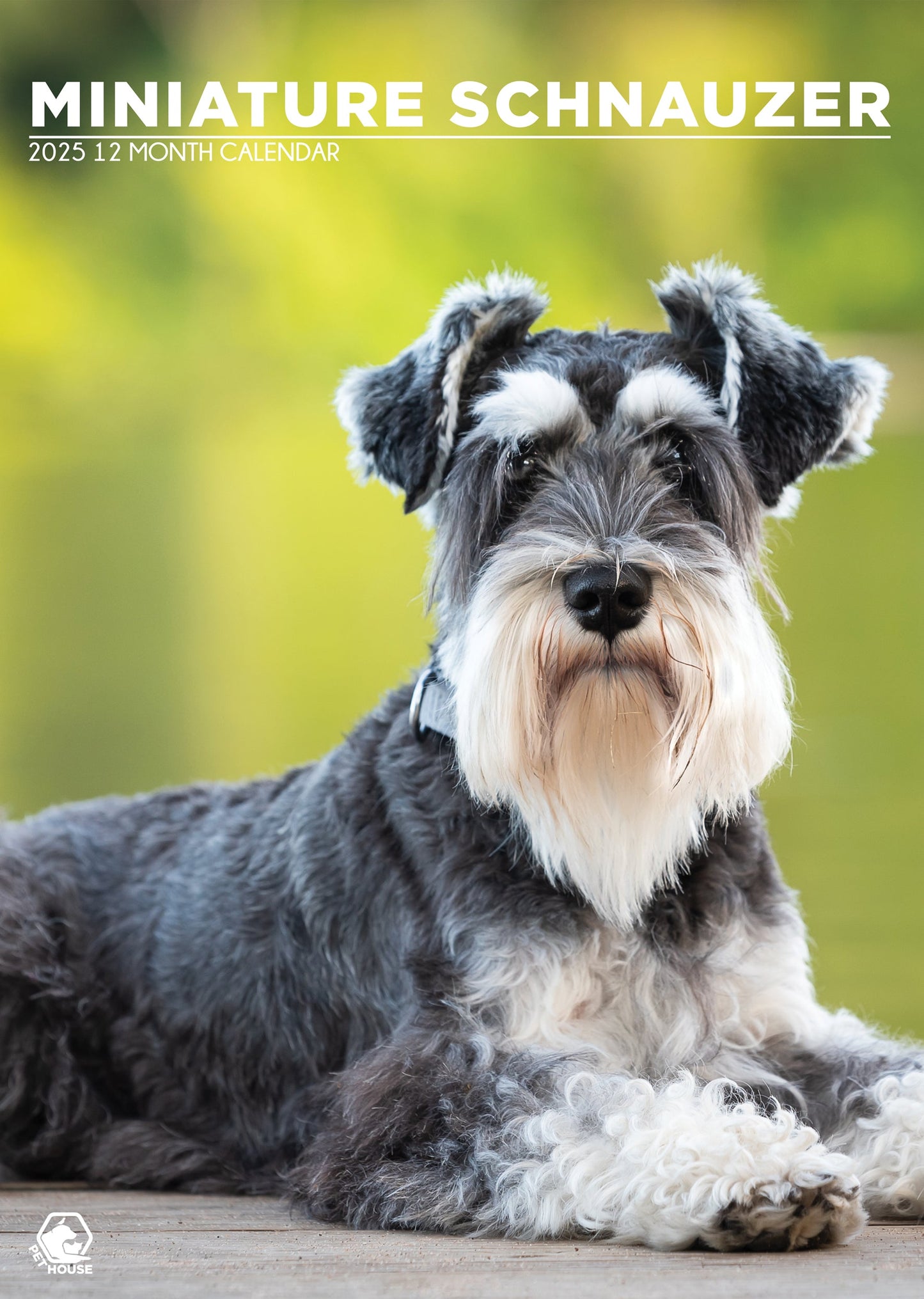 Miniature Schnauzer Calendar 2025