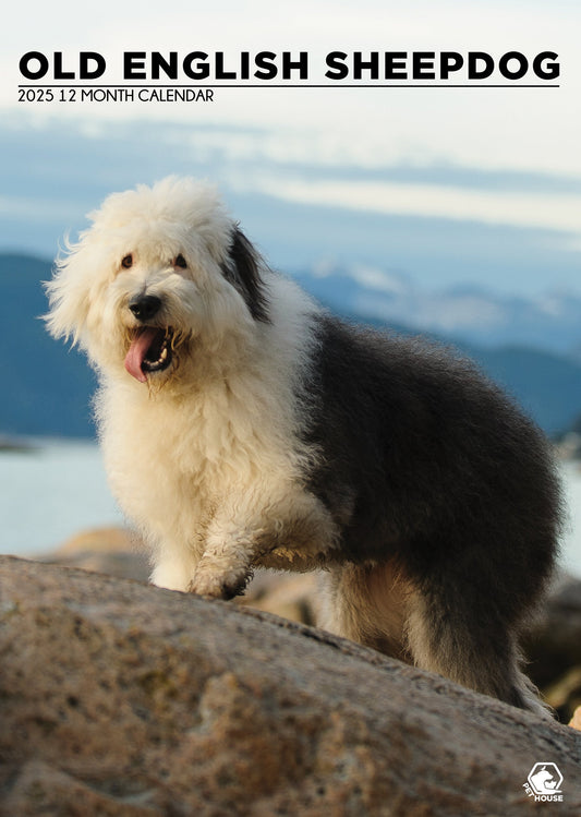 Old English Sheepdog Calendar 2025